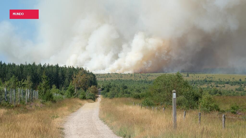 Bélgica enfrenta o pior incêndio florestal da história do país