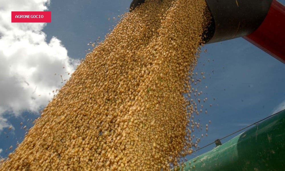 Soja em terras baixas deve ocupar 431 mil hectares no RS na safra 2026/27