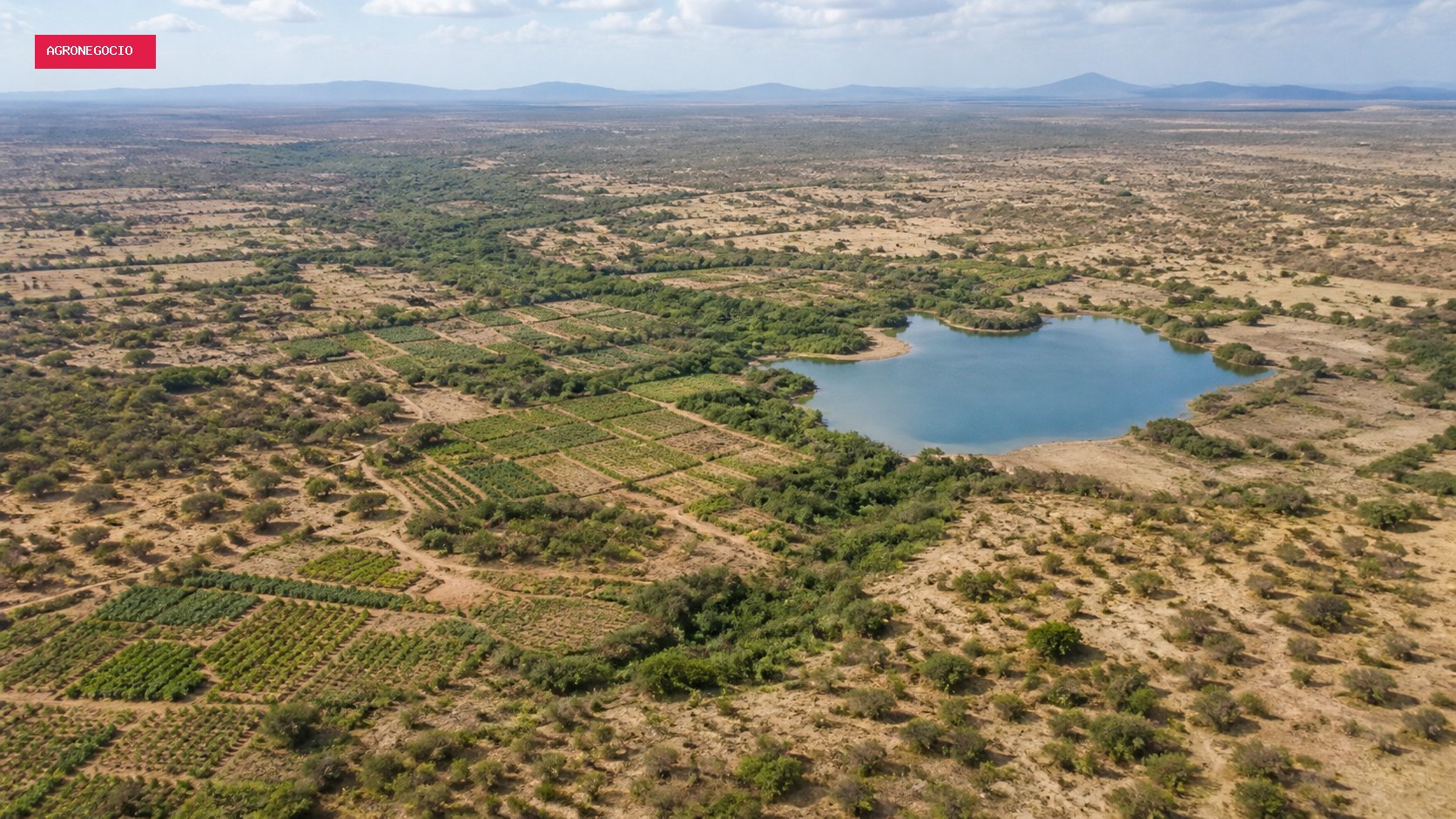 Grande Muralha Verde soma 1,66 milhão de hectares em restauração no Sahel