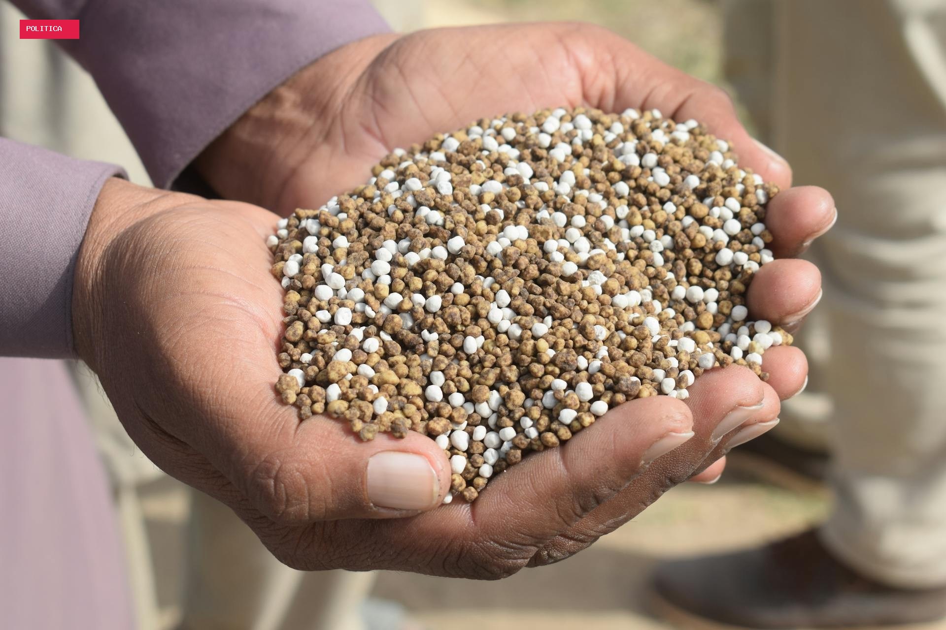Senado aprova linha de crédito para indústria de fertilizantes, mas sem estipular valores