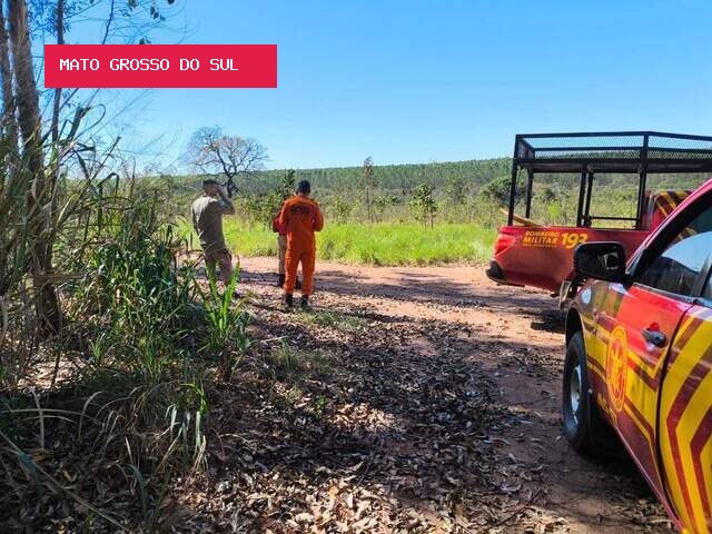 Corpo é encontrado em área de eucaliptos e morte ainda será esclarecida