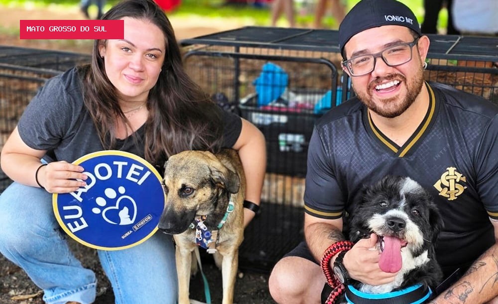 Feira na Praça Bolívia terá cães resgatados para adoção neste domingo