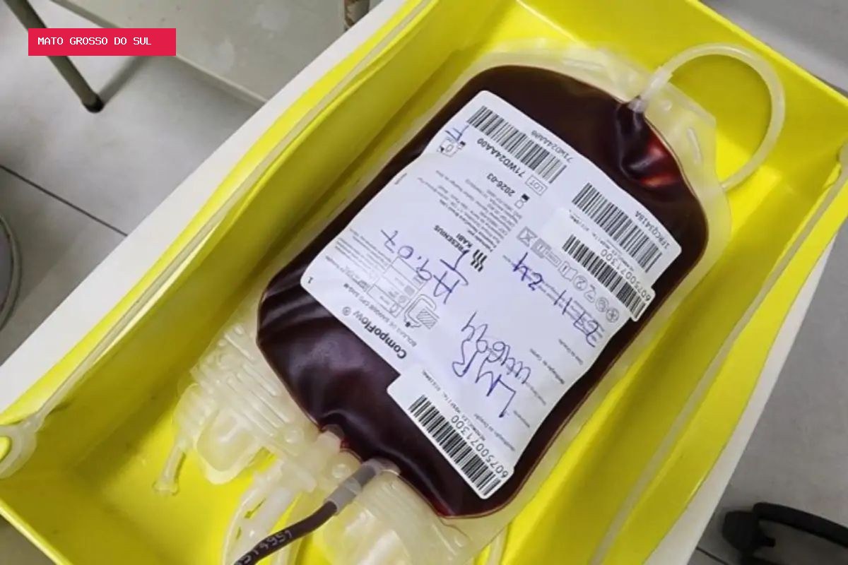 Tatuagem, piercing e gripe: confira as novas regras para doar sangue