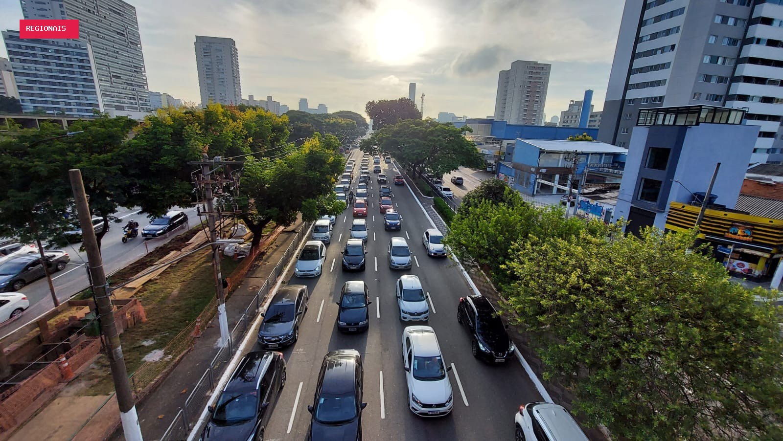 Obra do BRT vai remover quase 500 árvores na Zona Leste, região com menos vegetação em SP