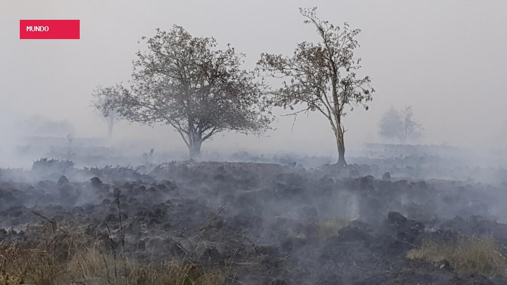 Hundreds of villagers evacuate as Belgium battles record wildfire