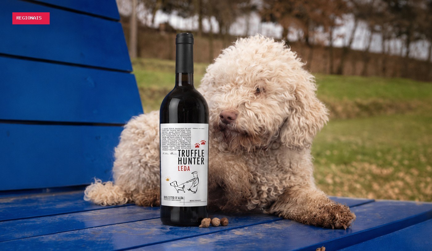 5 vinhos italianos de excelente custo-benefício