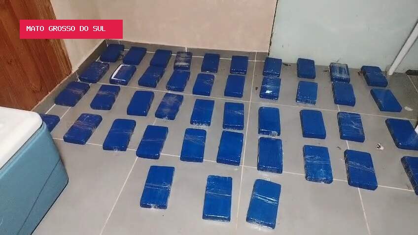 Trio é detido com 43 tabletes de cocaína em açougue na fronteira