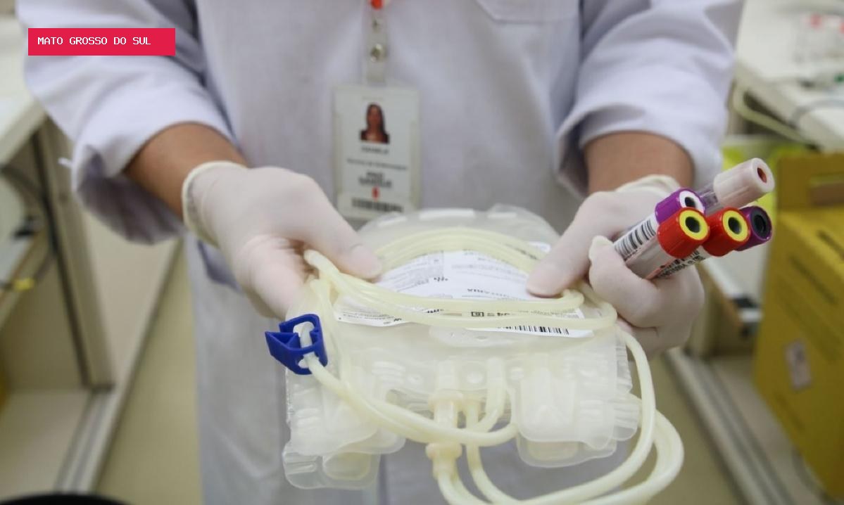 Doadores acima de 70 anos poderão continuar doando sangue no Brasil