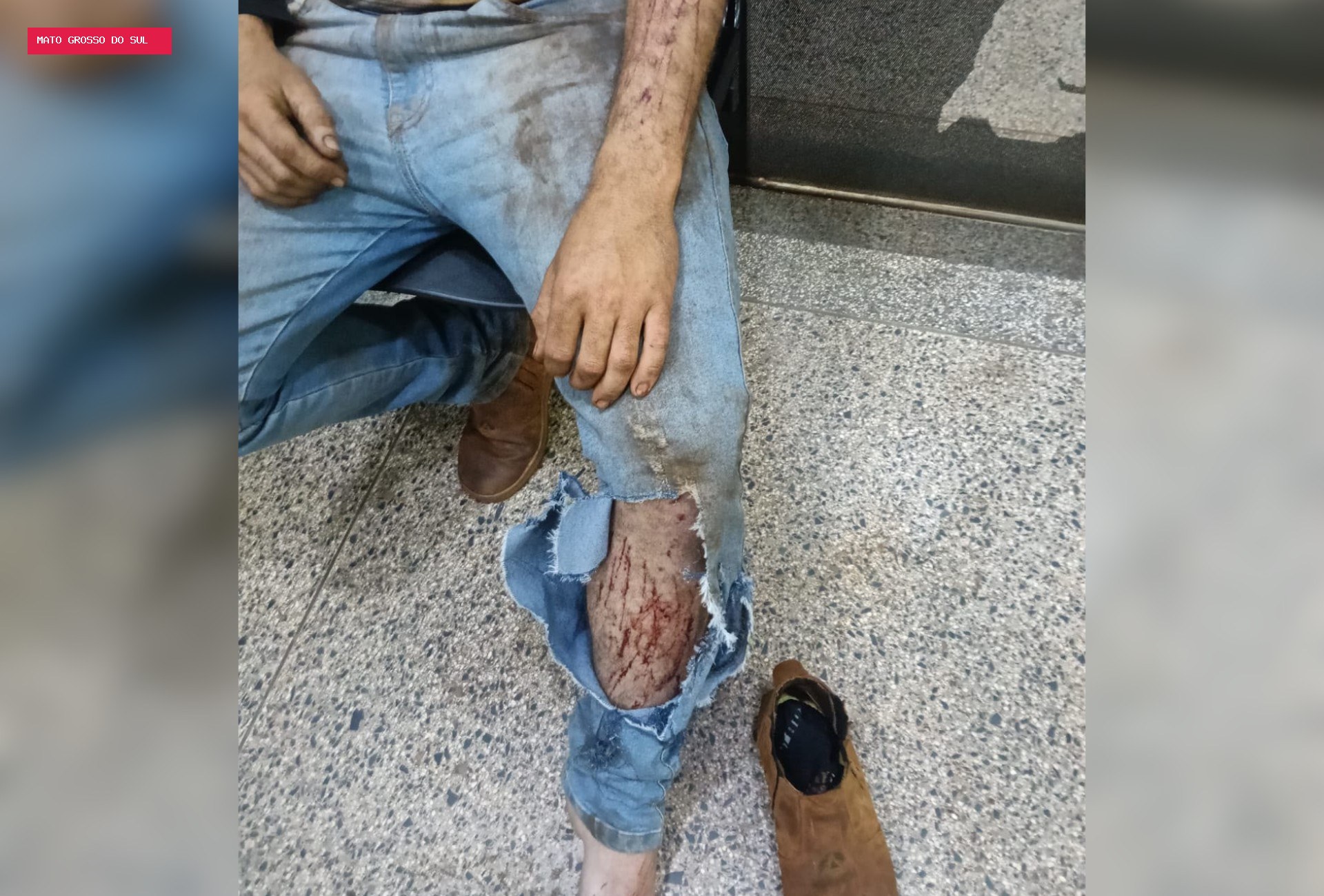 Jovem é socorrido após relatar ataque de possível onça durante trabalho em área rural de MS