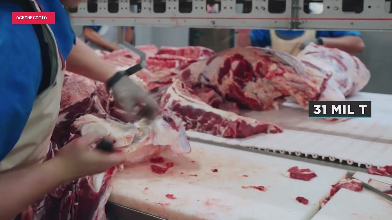 Carne bovina de Mato Grosso é exportada para 88 países em 2026