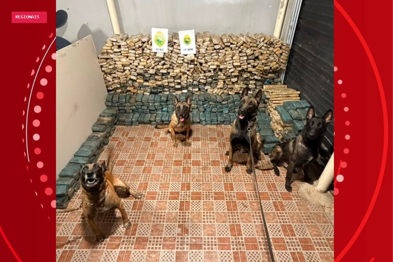 Estepes, caixa de cozinha e semirreboques: cães farejadores ajudam a localizar quase uma tonelada de