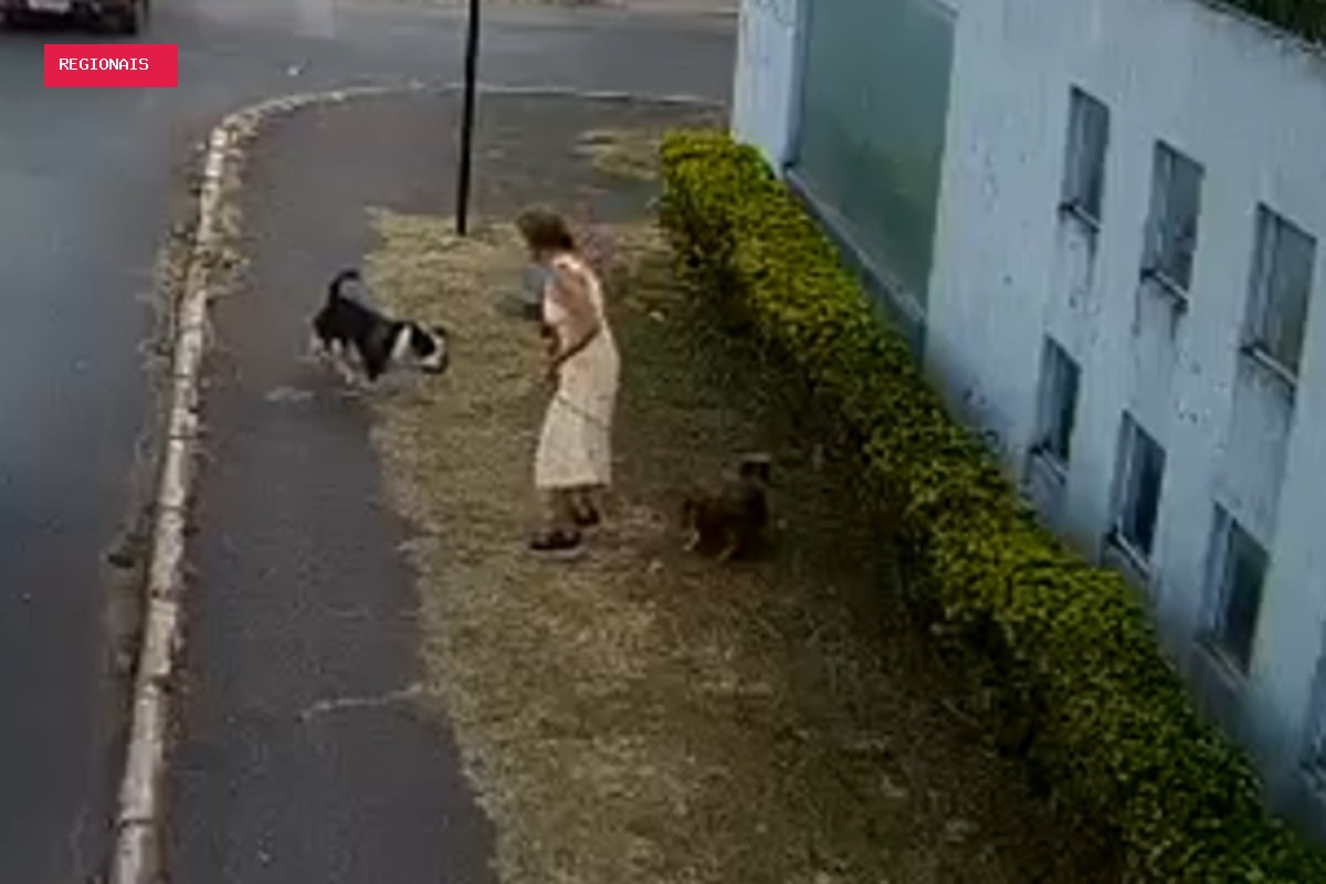 Cachorro é atacado brutalmente no Guará e fica em estado grave