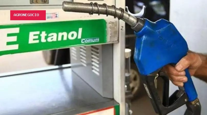 Etanol: oferta e demanda equilibradas mantêm preços estáveis em SP, diz Cepea