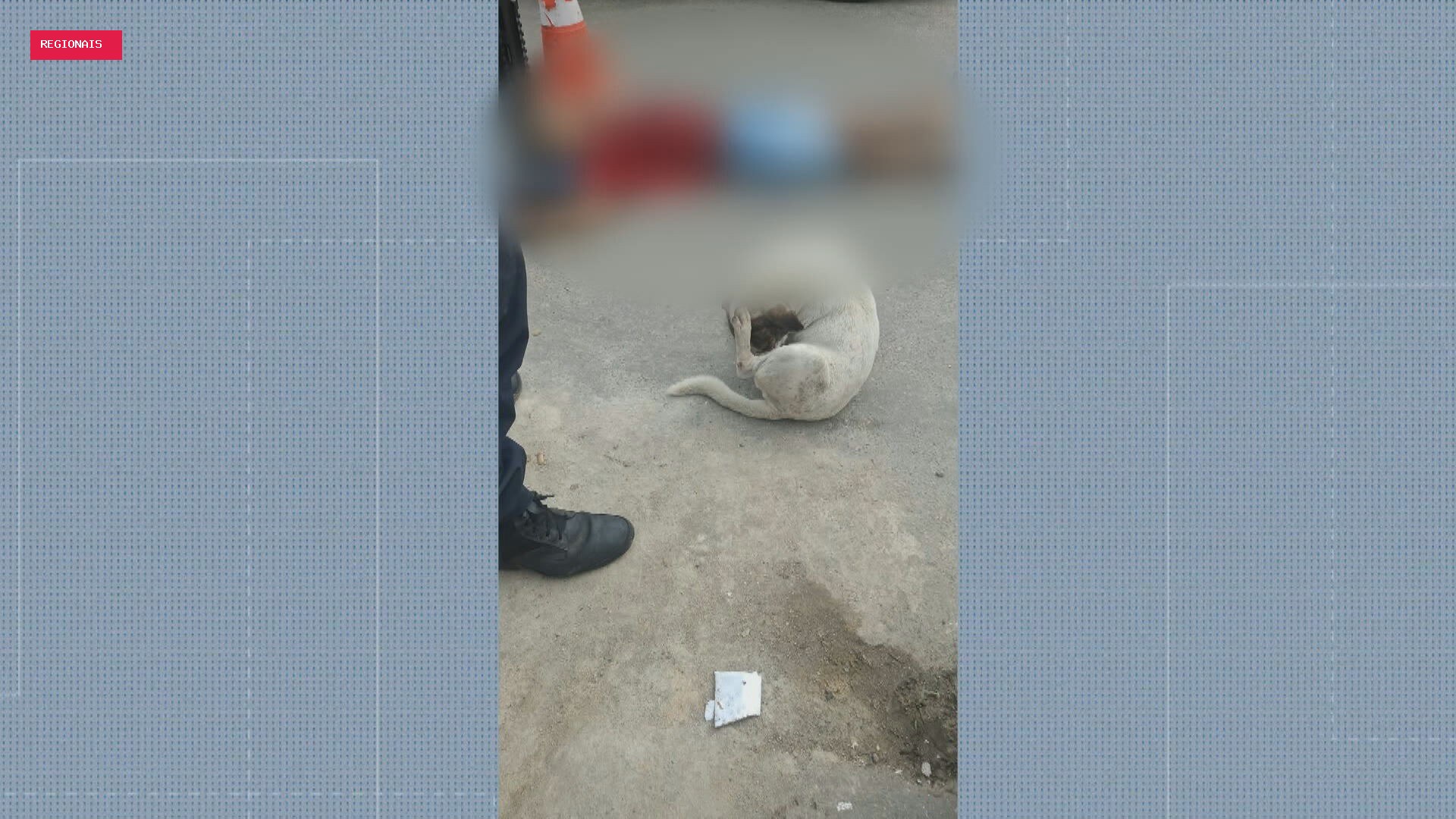 Polícia Civil investiga possível ligação entre ataques a tiros que deixaram um morto e dois feridos no