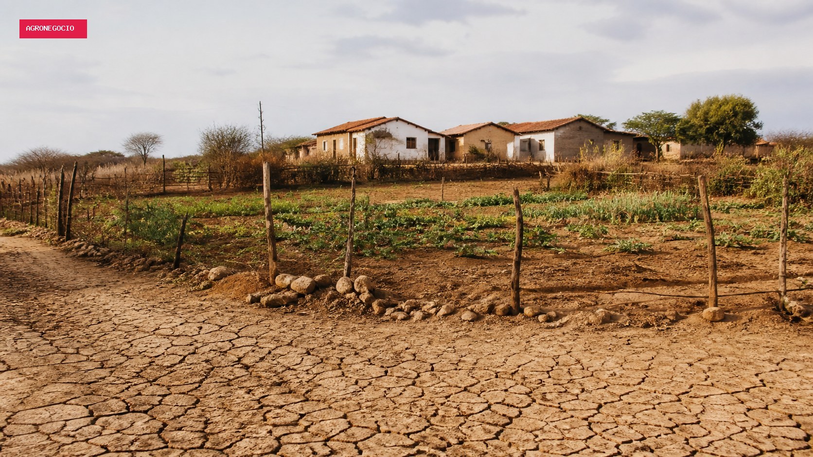 MDA fará entregas habitacionais e anunciará R$ 65 milhões em ações em Salgueiro