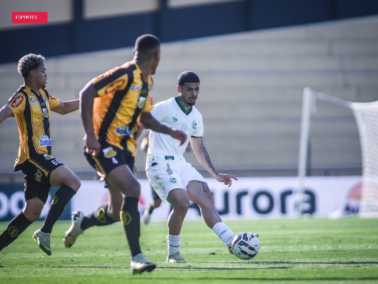Raí e Safira participaram de metade dos pontos do Juventude na Série B