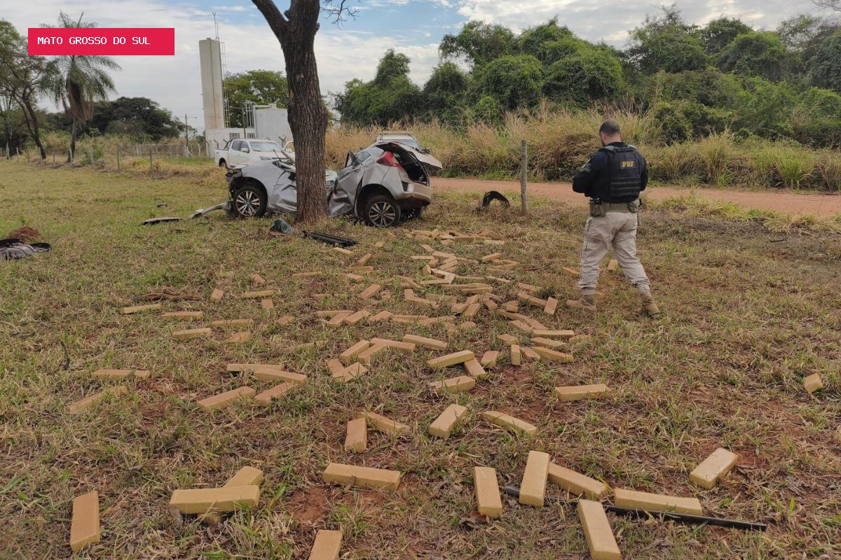 Motorista bate carro em árvore durante fuga da PRF e drogas se espalham em rodovia de MS