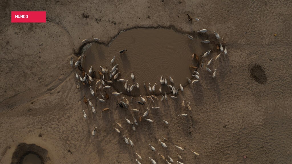 Antes da COP17 sobre desertificação, pastores se reúnem na Mongólia para proteger suas terras