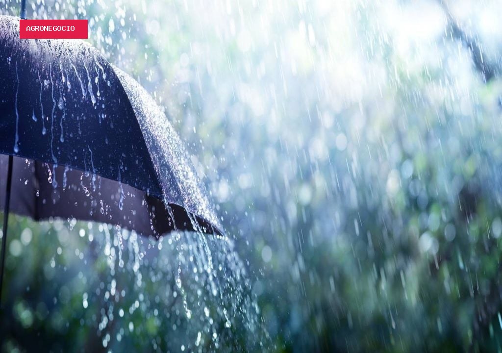 Frente fria traz chuva para Sul e Sudeste; confira a previsão do tempo para cada região