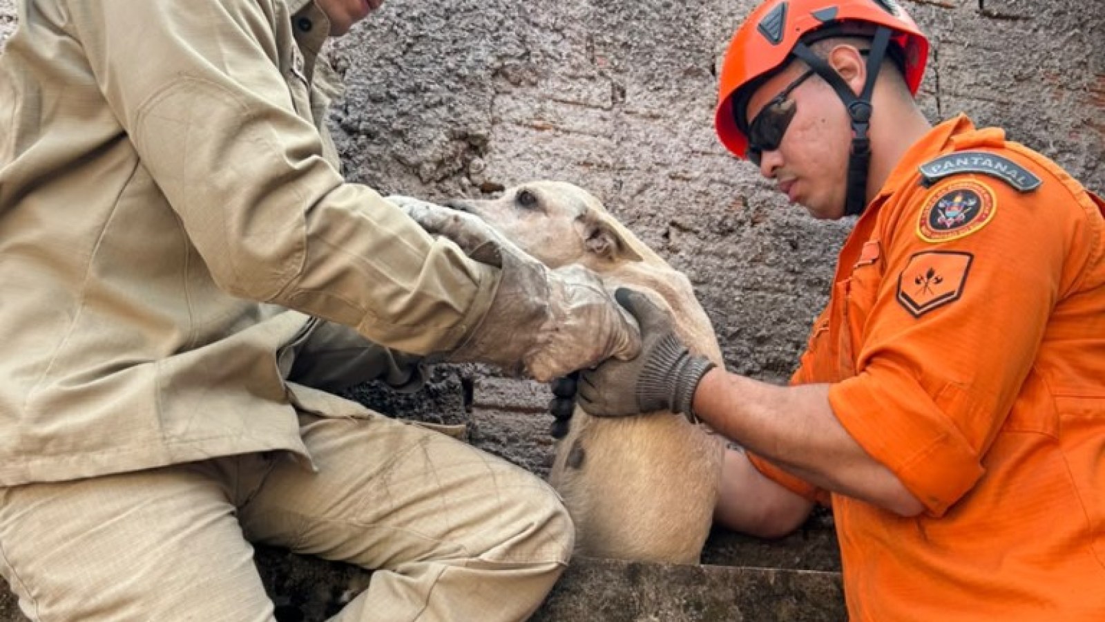 Bombeiros do 3º GBM retiram a cachorra do vão em Ladário
