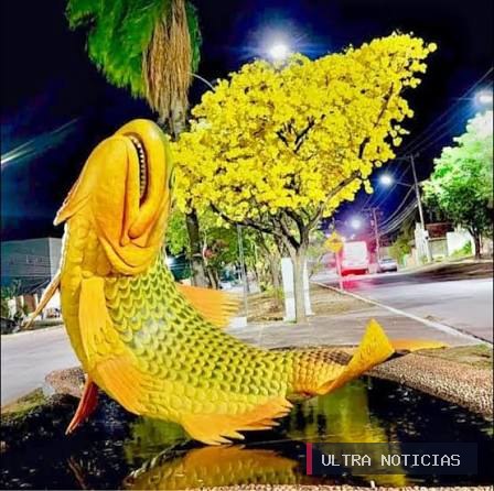 dourado.jpg
