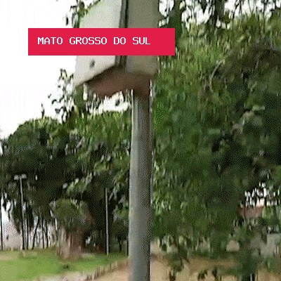 Morador da Esplanada denuncia furto de fios subterrâneos atrás de monumento