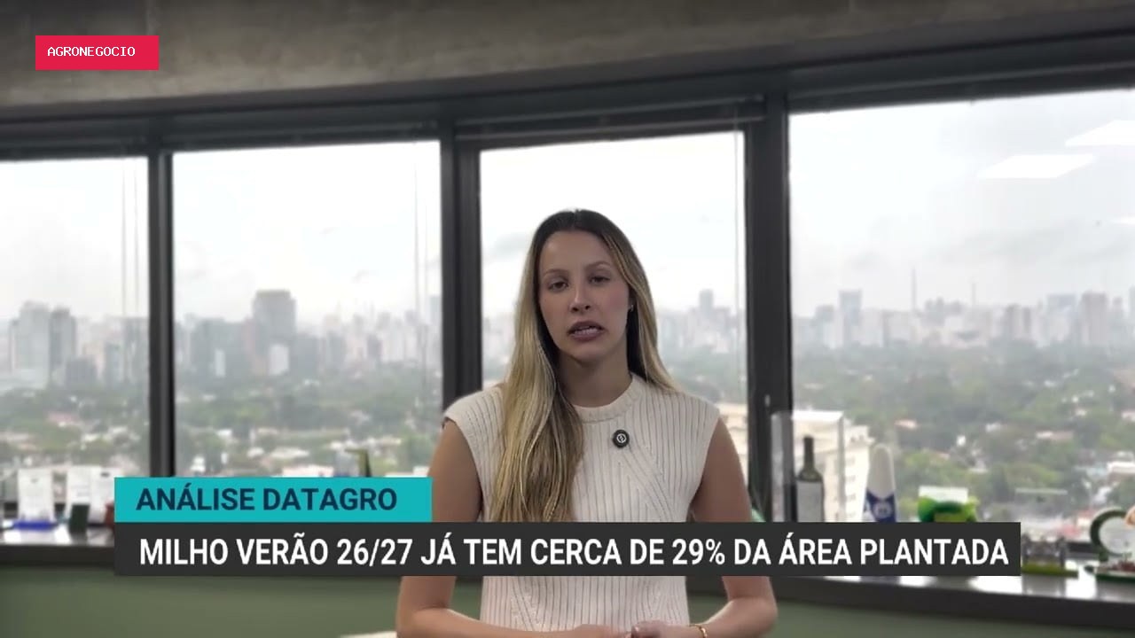 Avanço no plantio de milho verão e dados de soja no Brasil