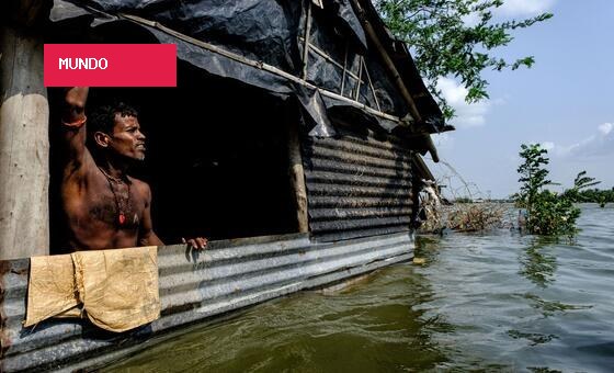 Entenda: 5 ameaças existenciais causadas pelo aumento do nível do mar