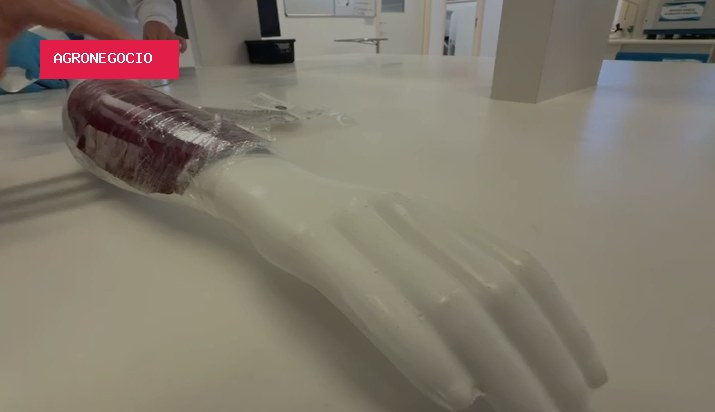 Pele de tilápia vira curativo para queimaduras e deve chegar ao SUS