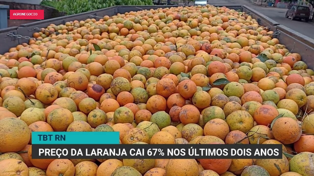 Preço da laranja cai quase 67% em dois anos no Brasil, revela estudo