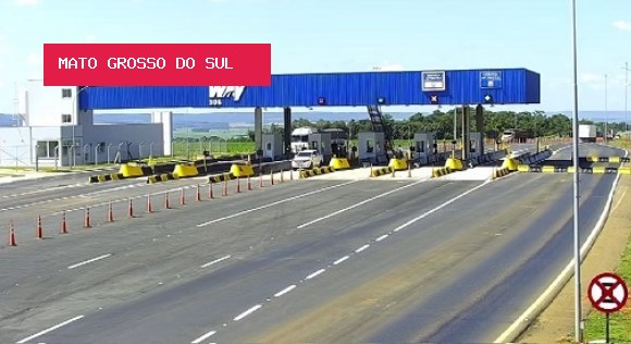 Justiça manda concessionária indenizar motorista que atingiu anta e capotou