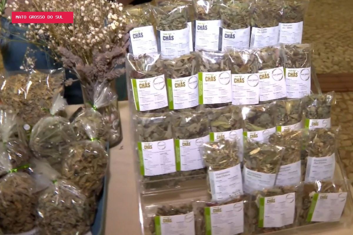 Remédio caseiro faz mal? Ciência alerta para riscos de plantas