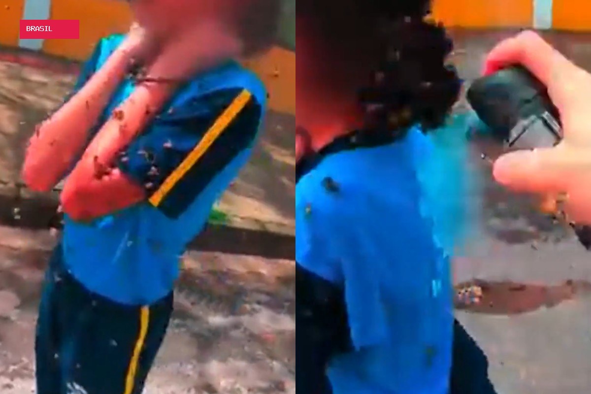 Estudante atacada por enxame de abelhas na porta da escola continua internada na Grande BH
