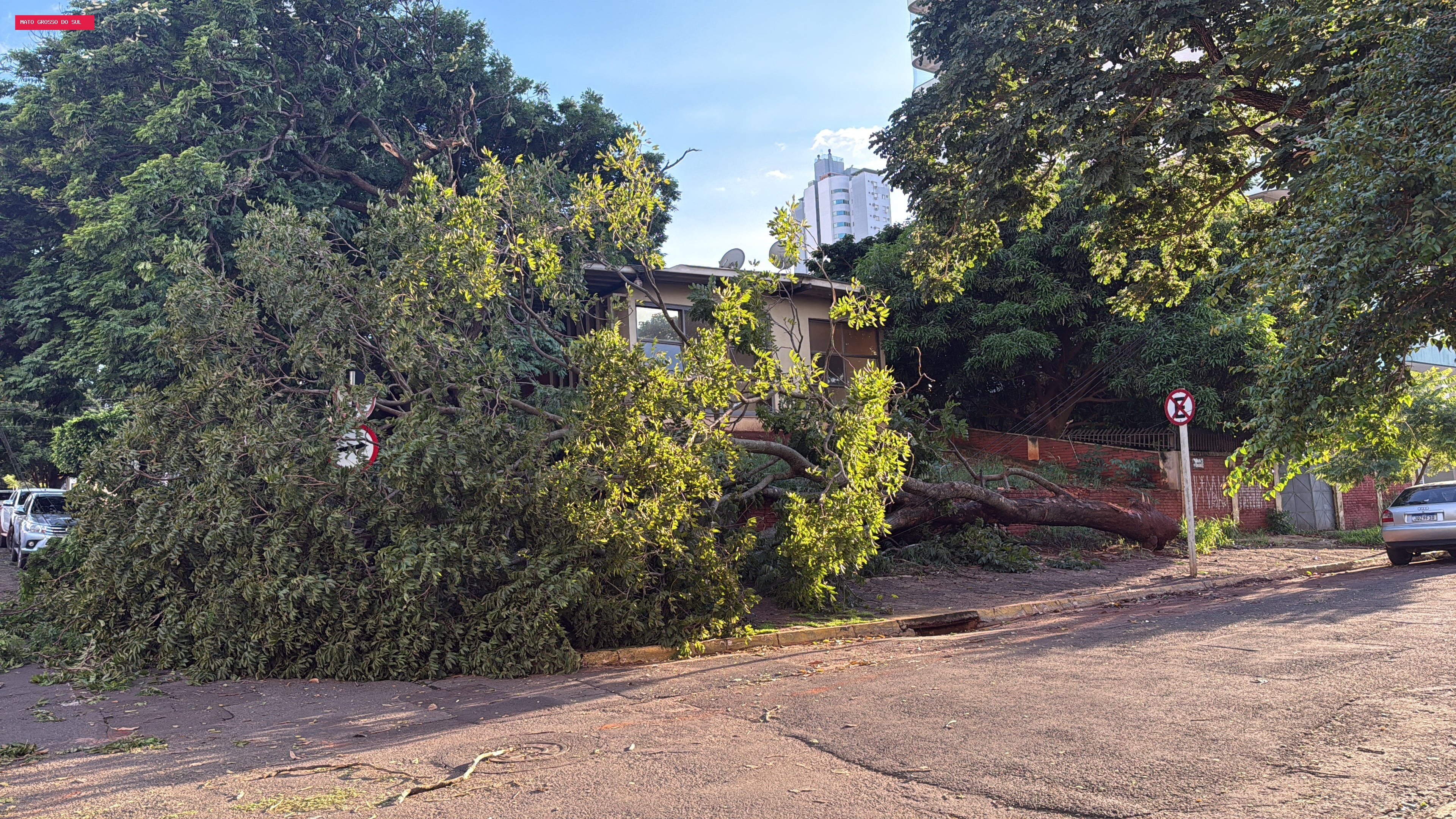 Defesa Civil pede ajuda da população para mapear estragos de temporal em Campo Grande