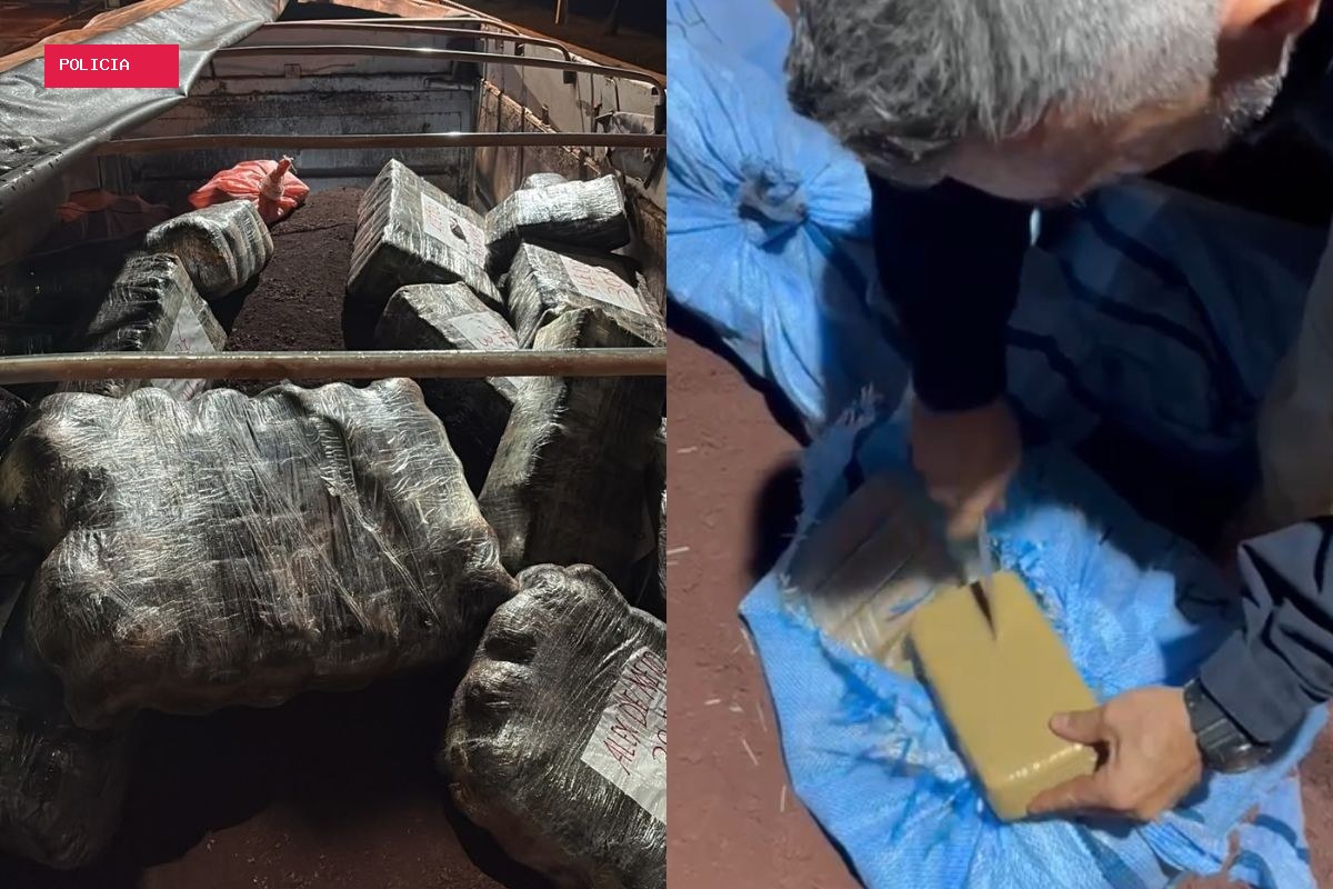 Mãos trêmulas e voz travada entregam caminhoneiro com quase 1 tonelada de cocaína e skunk em MS