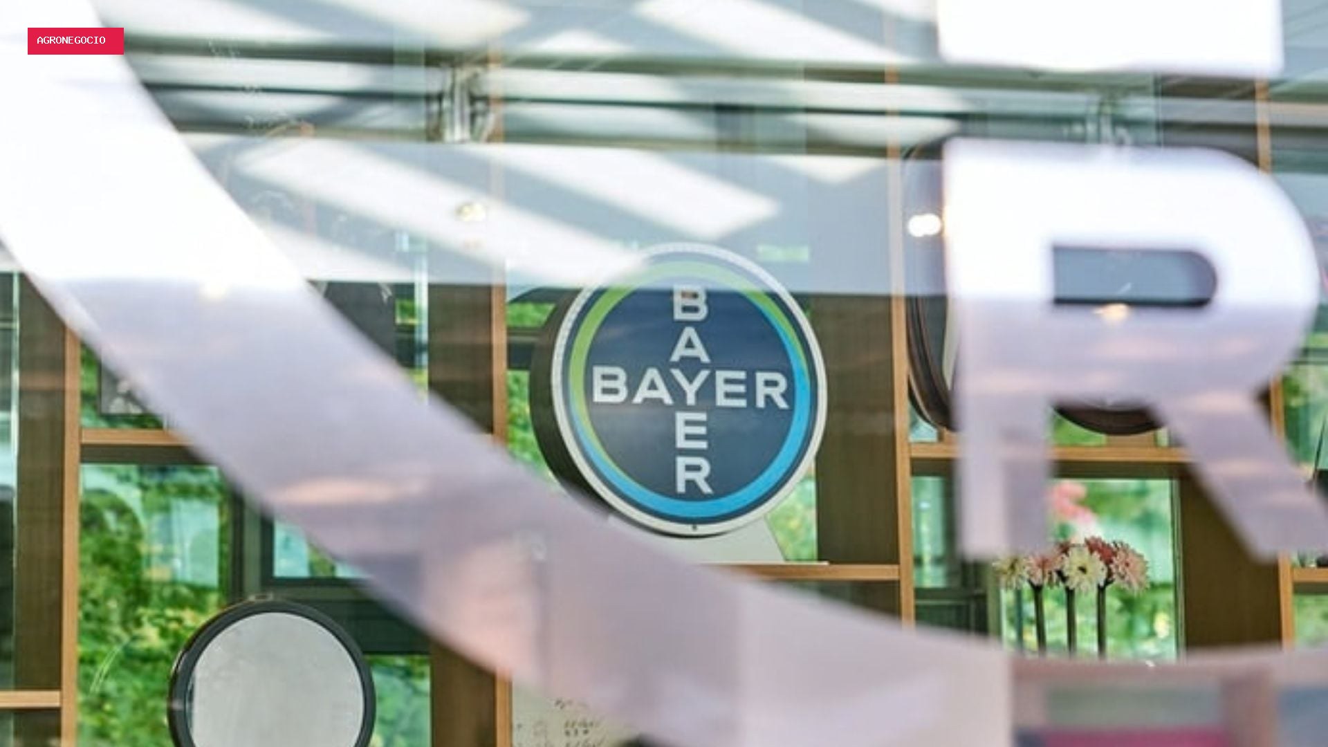 Bayer abre inscrições para trainee com salário de quase R$ 19 mil