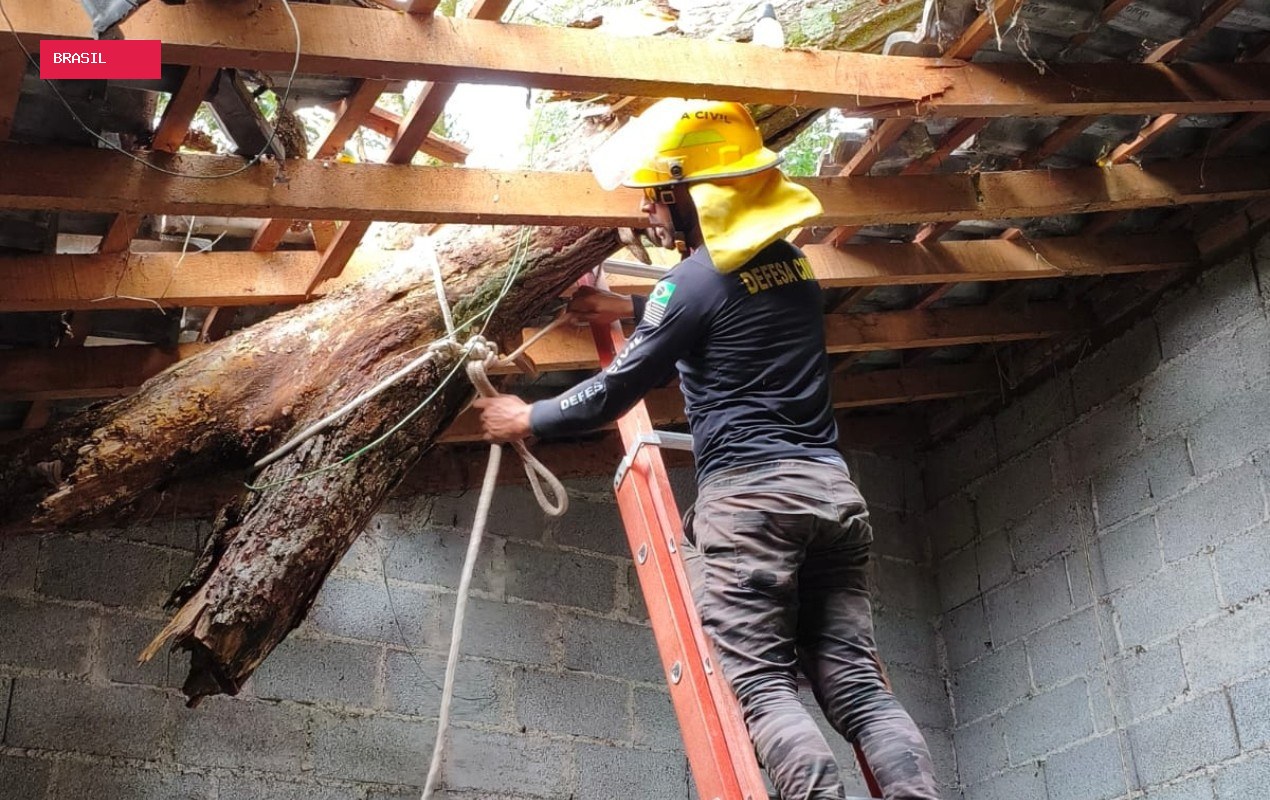 Chuva forte derruba árvores e causa estragos em cidades da região de Jundiaí