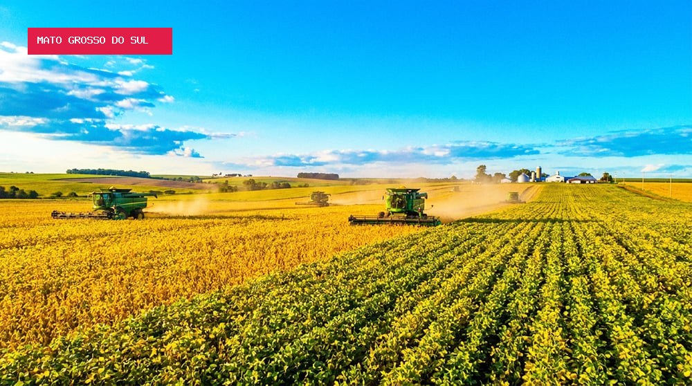 Congresso amplia prazo de MPs sobre dívidas rurais e Desenrola Adimplentes