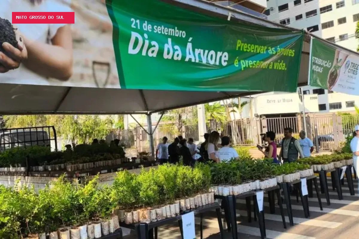 10 mil mudas de árvores frutíferas são distribuídas de graça em Campo Grande