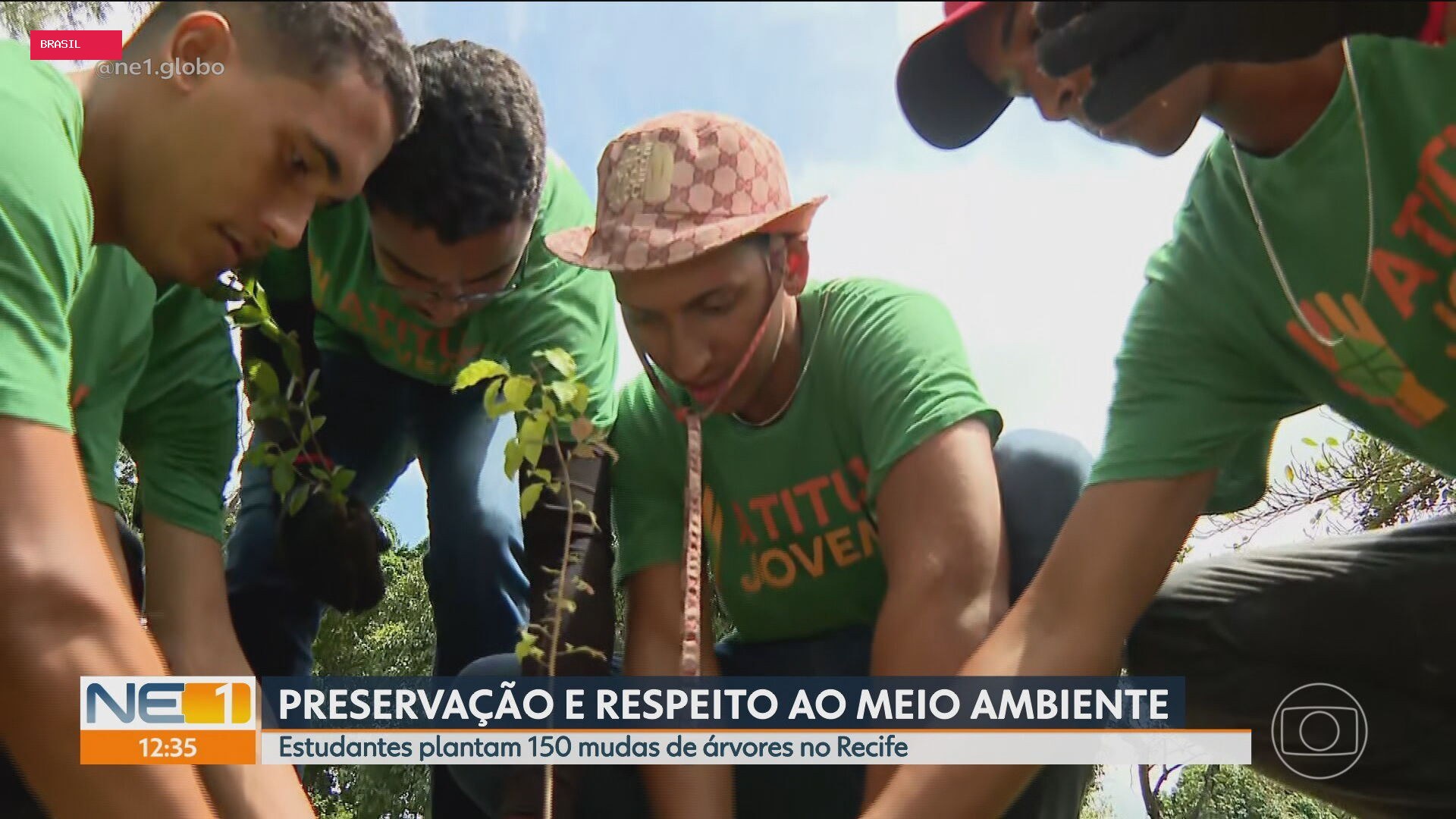 NE1 de terça-feira, 1º de setembro de 2026