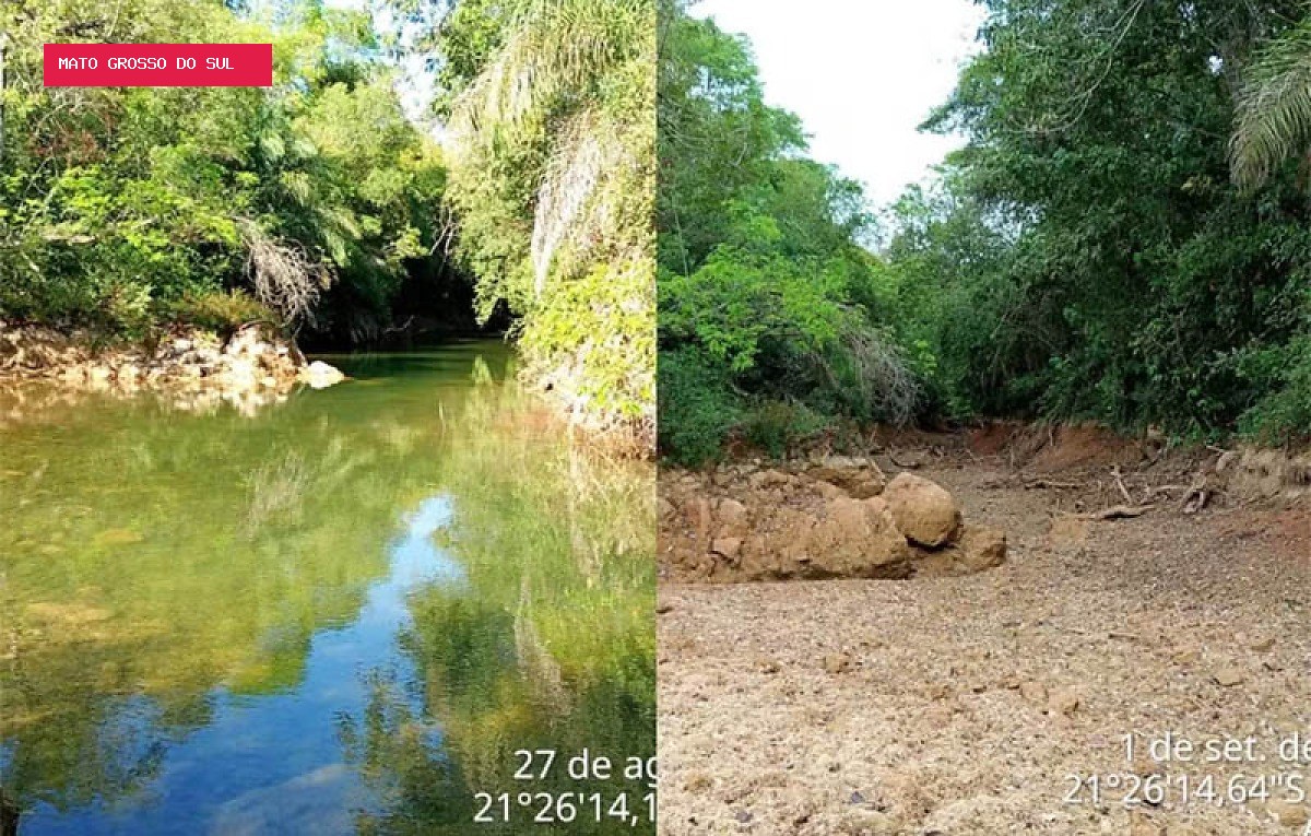 Em quatro dias, trecho do Rio da Prata fica completamente seco em Jardim
