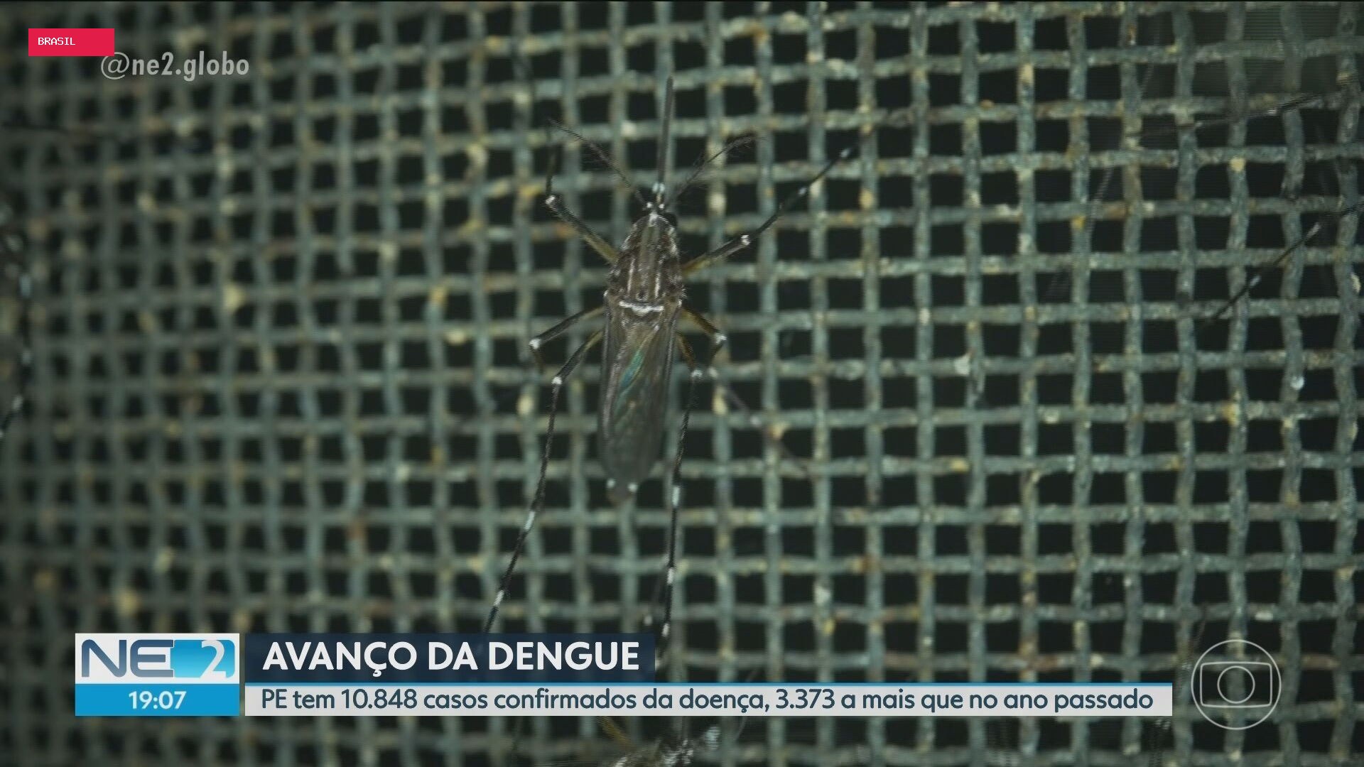 NE2 de terça-feira, 8 de setembro de 2026