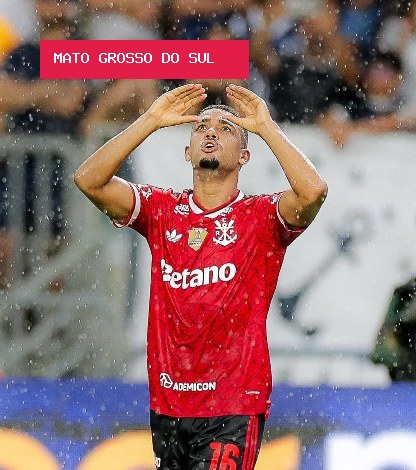 Flamengo vence Remo e assume liderança do Brasileirão