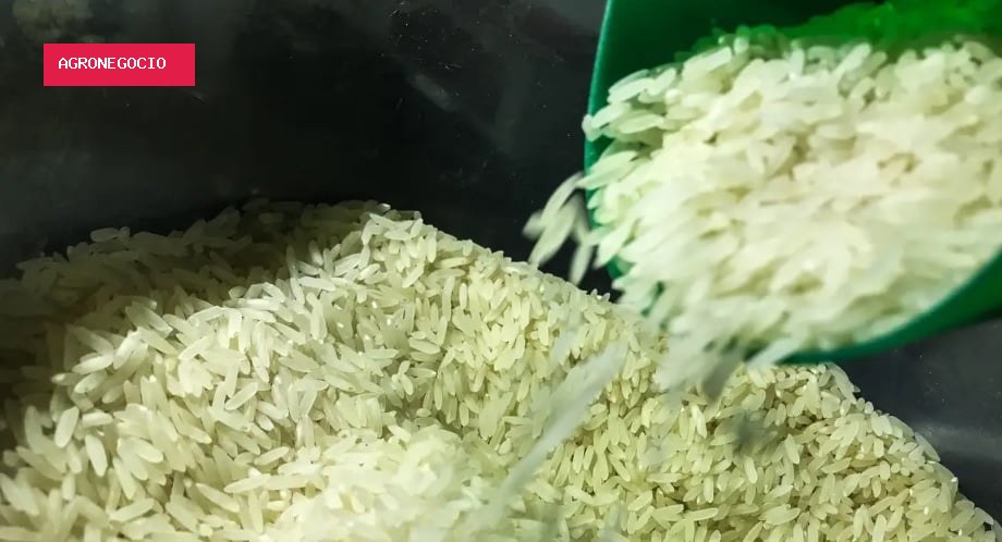 Arroz segue em alta no RS, mas reajustes perdem força