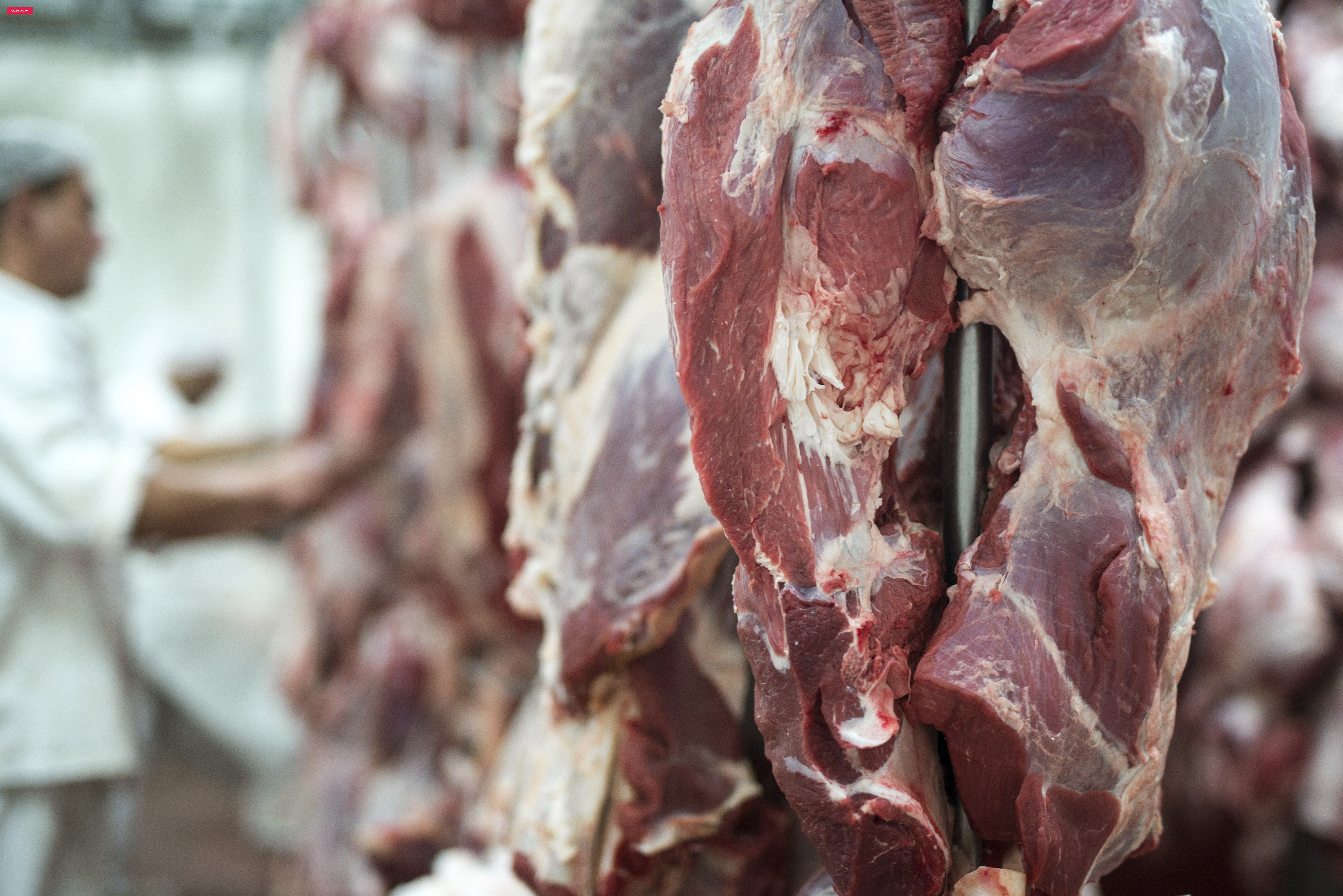 Arroba do boi sobe, mas exportações de carne têm queda de 29% no início de setembro