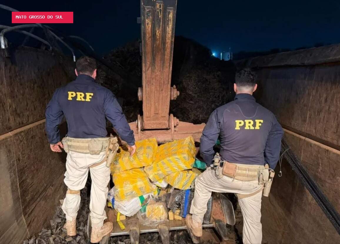 PRF apreende 3,4 toneladas de maconha em carreta e motorista é preso