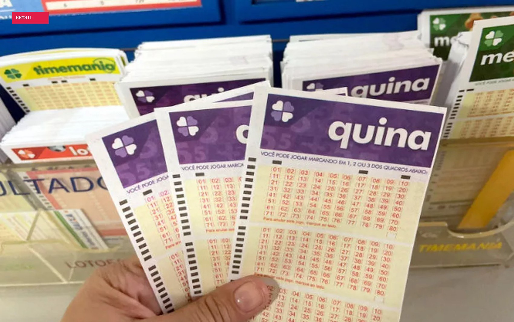 Quina hoje: resultado do concurso 7113 e números sorteados
