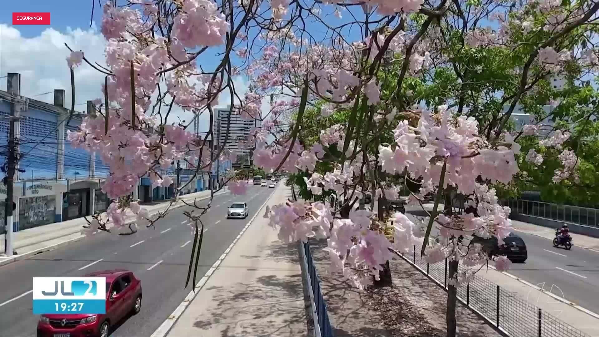 JL2 de sábado, 12 de setembro de 2026