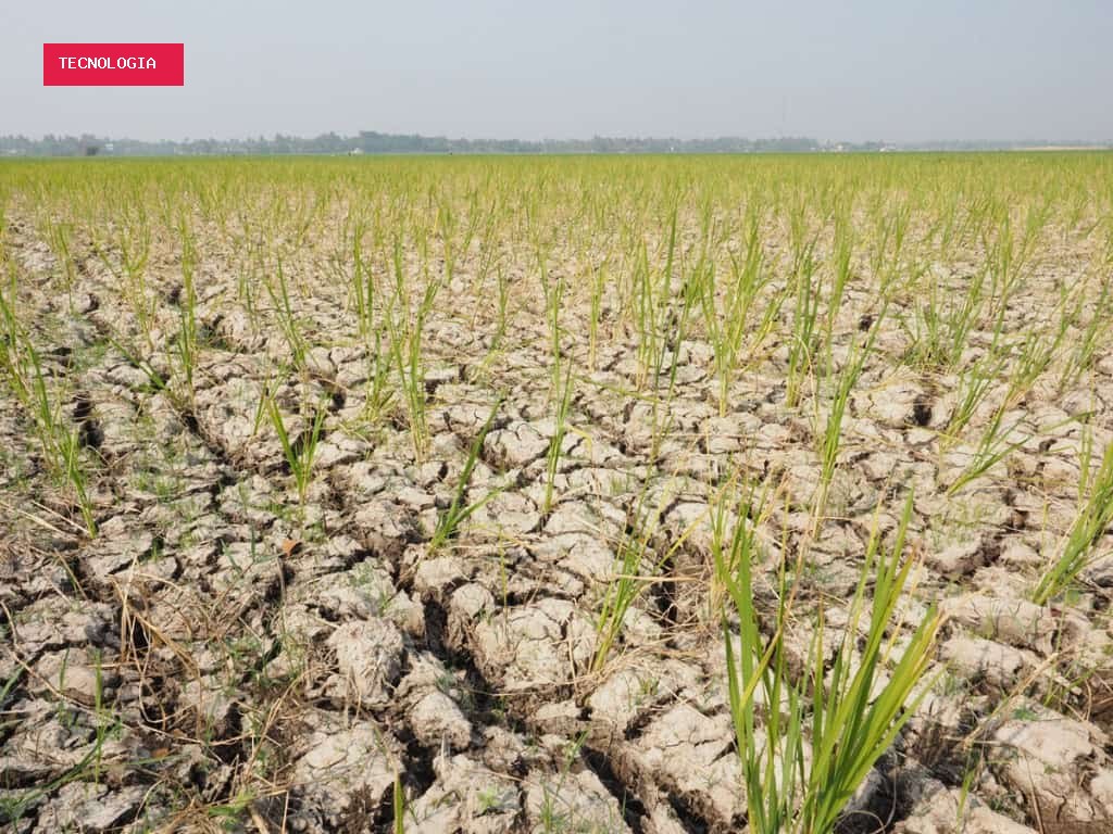 ONU: El Niño vai ficar muito forte e mudar o clima até 2027