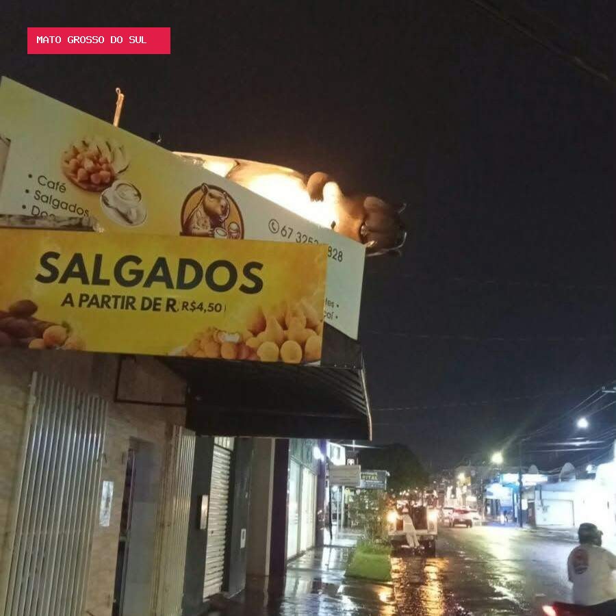 Vento derruba capivara gigante que virou "ponto turístico" da Capital